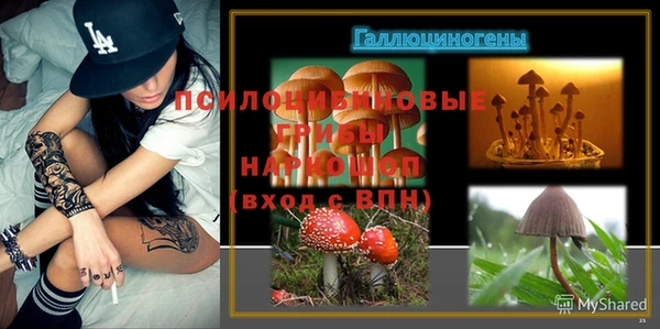 СК Балахна